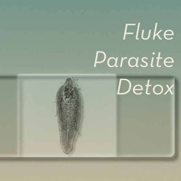Fluke Parasite Frequency Detox