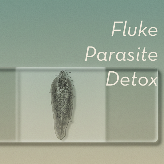 Fluke Parasite Frequency Detox